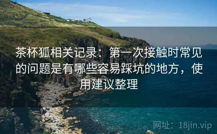 茶杯狐相关记录:第一次接触时常见的问题是有哪些容易踩坑的地方,使用建议整理 茶杯狐相关记录:第一次接触时常见的问题是有哪些容易踩坑的地方,使用建议整理