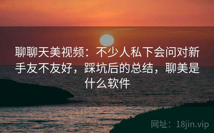 聊聊天美视频：不少人私下会问对新手友不友好，踩坑后的总结，聊美是什么软件