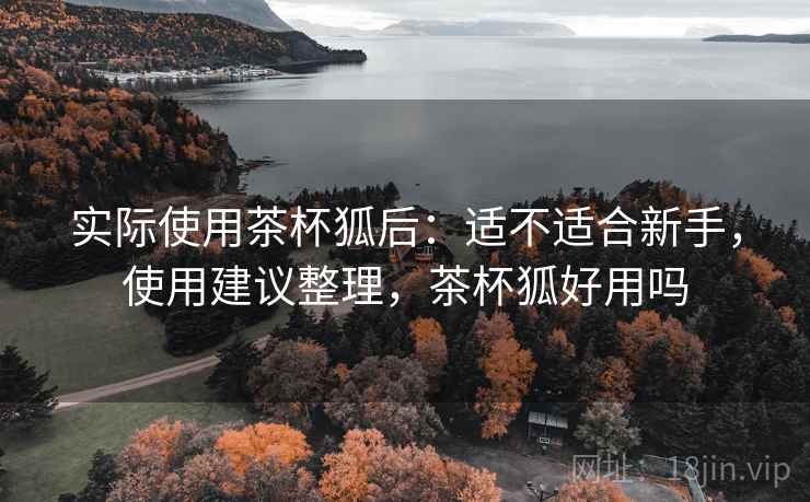 实际使用茶杯狐后:适不适合新手,使用建议整理,茶杯狐好用吗 实际使用茶杯狐后:适不适合新手,使用建议整理,茶杯狐好用吗